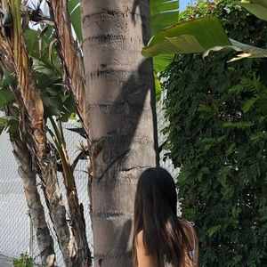 Meet your Posher, Shelley